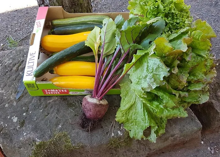 La Maison De Louise 3*