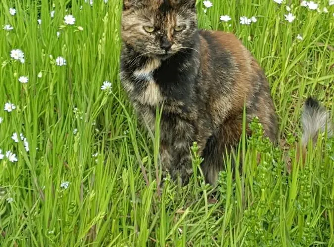 招待所 La Maison De Louise Pierre-Percée