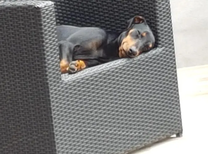 招待所 La Maison De Louise 3*